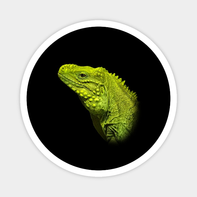 Iguana Magnet by Guardi